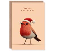 Artery8 Personalised Christmas Card Cute Robin Bird Wearing a Santa Hat