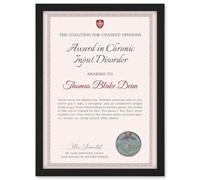 Artery8 Personalised Fun Fake Certificate Award in Chronic Input Disorder Funny Gag Roast Fun Joke Talkative A4 Black Framed Diploma Novelty Certificate