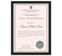 Artery8 Personalised Fun Fake Certificate Chaotic Neutral Behaviour Funny Gag Roast Fun Joke Unpredictable A4 Black Framed Diploma Novelty Award