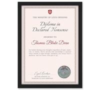 Artery8 Personalised Fun Fake Certificate Diploma in Declared Nonsense Funny Gag Roast Fun Joke Opinionated A4 Black Framed Diploma Novelty Award