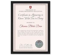 Artery8 Personalised Fun Fake Certificate Looking Like You Know What You’re Doing Funny Gag Fun Joke New Job A4 Black Framed Diploma Novelty