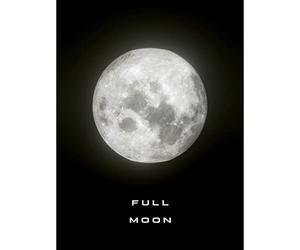 Artery8 Phases of the Moon Astronomy Full Moon Lunar Space Poster Large Wall Art Poster Print Thick Paper 18X24 Inch