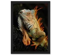 Photo Animal Iguana Lizard Reptile Scales Spines Artwork Framed Wall Art Print A4 Artery8 Black One Size