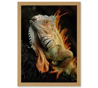 Artery8 Photo Animal Iguana Lizard Reptile Scales Spines Artwork Framed Wall Art Print A4 in Light Oak Artery8 Light Oak
