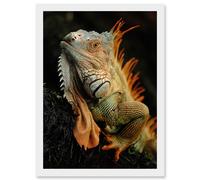 Artery8 Photo Animal Iguana Lizard Reptile Scales Spines Artwork Framed Wall Art Print A4 in White Artery8 White