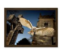 Photo Barn Owl in Flight Bird Alba Graveyard Scotland Artwork Framed Wall Art Print A4 Artery8 Brown One Size