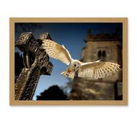 Photo Barn Owl in Flight Bird Alba Graveyard Scotland Artwork Framed Wall Art Print A4 Artery8 Light Oak One Size