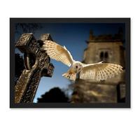 Artery8 Photo Barn Owl In Flight Bird Alba Graveyard Scotland Wall Art Print - A4 Size