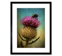 Artery8 Photo Bumble Bee Thistle Flower Scotland 12X16" Framed Wall Art Print
