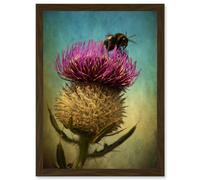 Photo Bumble Bee Thistle Flower Scotland Picture A4 Artwork Framed Wall Art Print Artery8 Brown One Size
