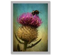 Artery8 Photo Bumble Bee Thistle Flower Scotland Picture A4 Artwork Framed Wall Art Print in Light Grey Artery8 Light Grey