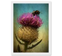 Photo Bumble Bee Thistle Flower Scotland Picture A4 Artwork Framed Wall Art Print Artery8 White One Size