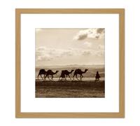 Artery8 Photo Egyptian Camel Train Caravan Desert Panorama 8X8 Inch Square Wooden Framed Wall Art Print Picture with Mount in Light Oak Artery8 Light Oak