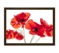 Artery8 Photo Nature Flower Poppy Heads Red Petals A4 Artwork Framed Wall Art Print