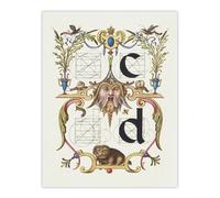 Artery8 Pictoral Letter Guide C & D Calligraphy Wall Art Poster Print in White | Size: W24" x H32" Artery8 White W24" x H32"