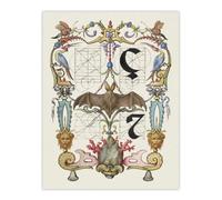 Artery8 Pictoral Letter Guide With Bat Calligraphy Wall Art Poster Print 12X16"