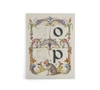 Artery8 Pictorial Letter Guide O & P Calligraphy Canvas Wall Art Print in White | Size: W24" x H32" Artery8 White W24" x H32"