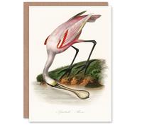 Artery8 Pierre Bernard Louis Couaihac Art Card Roseate Spoonbill