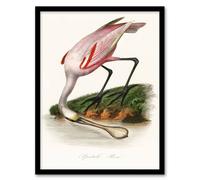 Artery8 Pierre Bernard Louis Couaihac Framed Wall Art Print Roseate Spoonbill - A3 Size