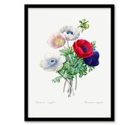 Artery8 Pierre J Redoute Framed Wall Art Anemone Flowers Vintage Botanical in White | Size: A4 Artery8 White A4