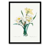 Artery8 Pierre J Redoute Framed Wall Art Daffodil Vintage Floral Illustration - A4 Size