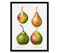 Artery8 Pierre J Redoute Framed Wall Art Pear Fruit Vintage Illustration in White | Size: A3 Artery8 White A3