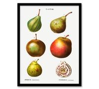 Artery8 Pierre J Redoute Framed Wall Art Pear Varieties Vintage Illustration in White | Size: A4 Artery8 White A4