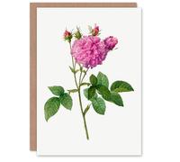 Artery8 Pierre-Joseph Redouté Art Card Agatha Rose Vintage Floral