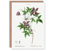 Artery8 Pierre-Joseph Redouté Art Card Alpine Clematis Flower