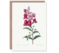 Artery8 Pierre-Joseph Redouté Art Card Antirrhinum Dragon Flowers
