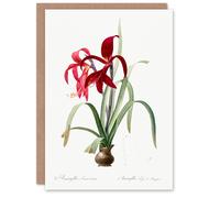 Artery8 Pierre-Joseph Redouté Art Card Aztec Lily Vintage Botanical Illustration