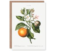 Artery8 Pierre-Joseph Redouté Art Card Bitter Orange Vintage Botanical