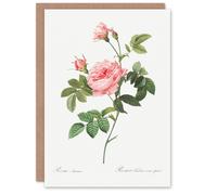Artery8 Pierre-Joseph Redouté Art Card Boursault Rose Vintage Floral
