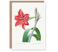 Artery8 Pierre-Joseph Redouté Art Card Brazilian Amaryllis Flower