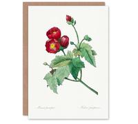 Artery8 Pierre-Joseph Redouté Art Card Callirhoe Poppy Mallow Flower