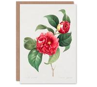 Artery8 Pierre-Joseph Redouté Art Card Camelia Vintage Floral Illustration