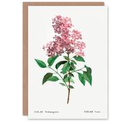 Artery8 Pierre-Joseph Redouté Art Card Chinese Lilac Vintage Floral Illustration