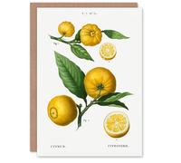 Artery8 Pierre-Joseph Redouté Art Card Clusters of Citrus Fruit