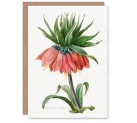 Artery8 Pierre-Joseph Redouté Art Card Crown Imperial Flower