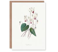 Artery8 Pierre-Joseph Redouté Art Card Cyclamen Vintage Floral Illustration