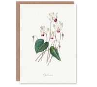 Artery8 Pierre-Joseph Redouté Art Card Cyclamen Vintage Floral Illustration