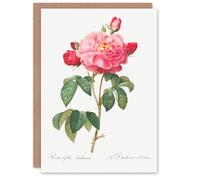 Artery8 Pierre-Joseph Redouté Art Card French Rose Vintage Botanical Illustration