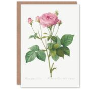 Artery8 Pierre-Joseph Redouté Art Card Gallic Rose Vintage Flower Illustration