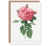 Artery8 Pierre-Joseph Redouté Art Card Giant Gallica Rose Vintage Floral