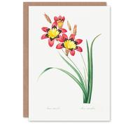 Artery8 Pierre-Joseph Redouté Art Card Harlequin Flowers Vintage Floral Illustration