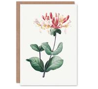 Artery8 Pierre-Joseph Redouté Art Card Honeysuckle Vintage Botanical Illustration
