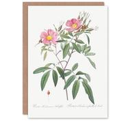 Artery8 Pierre-Joseph Redouté Art Card Hudson Swamp Rose Flowers