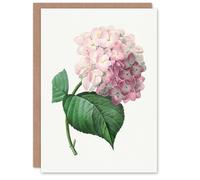 Artery8 Pierre-Joseph Redouté Art Card Hydrangea Vintage Botanical Illustration