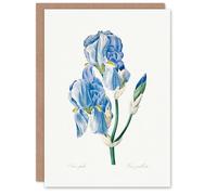 Artery8 Pierre-Joseph Redouté Art Card Iris Pallida Vintage Botanical