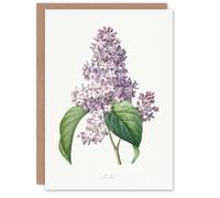 Artery8 Pierre-Joseph Redouté Art Card Lilac Vintage Floral Illustration